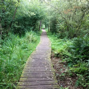 Bestaat rouwverwerking eigenlijk?